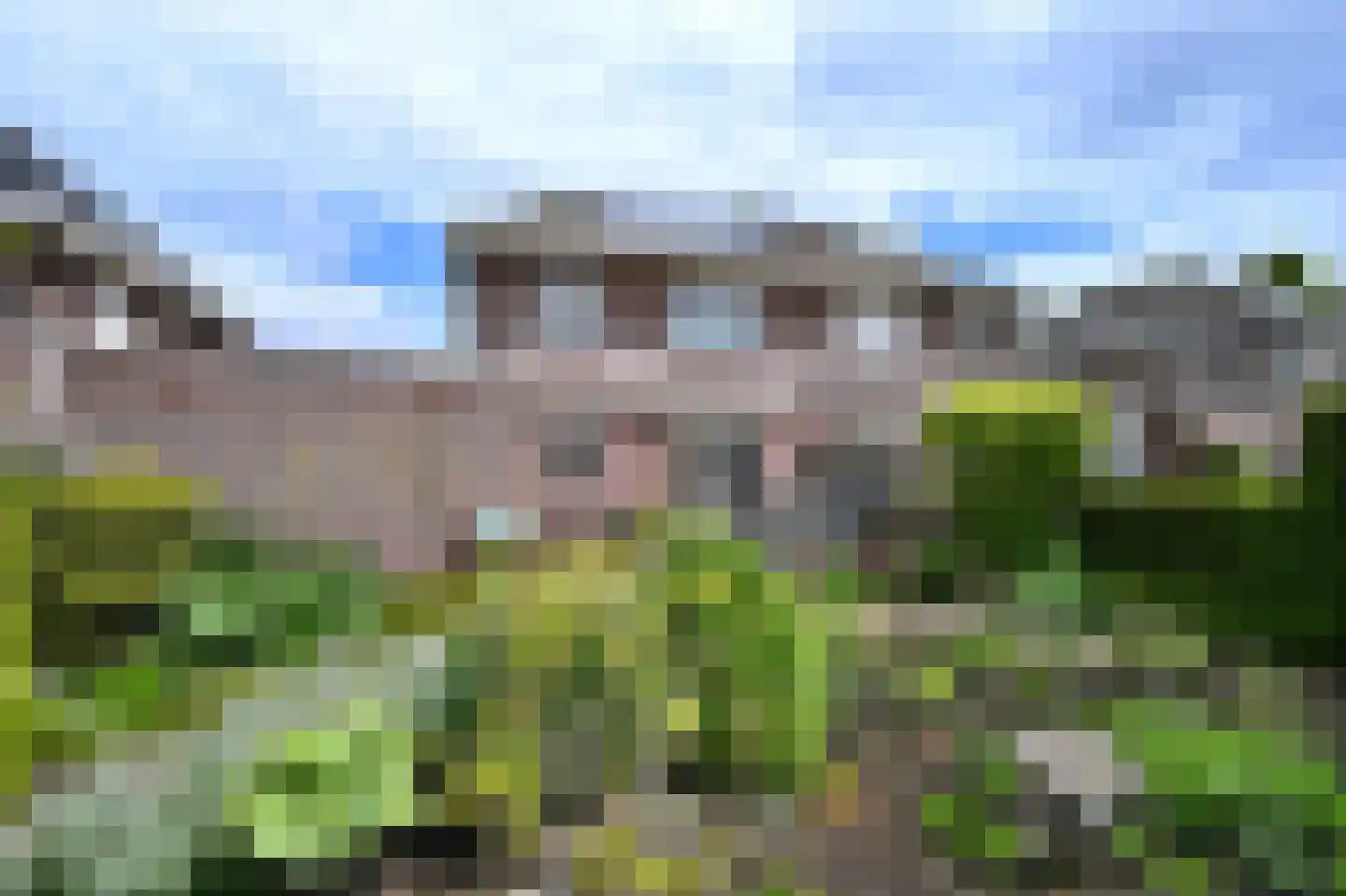 Lisdodde 22 Heerjansdam thumbnail 4