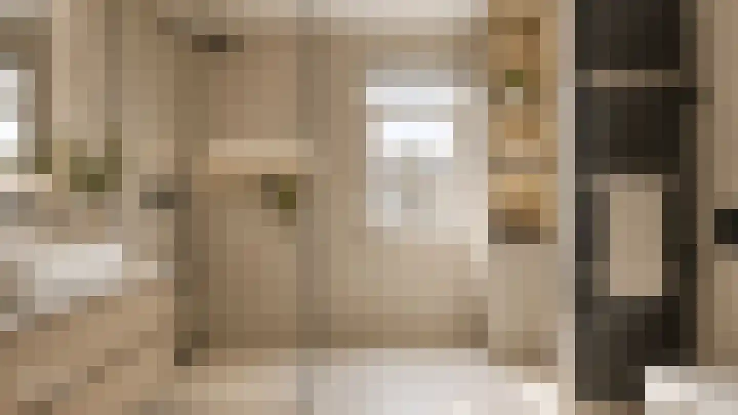 Lisdodde 22 Heerjansdam thumbnail 4