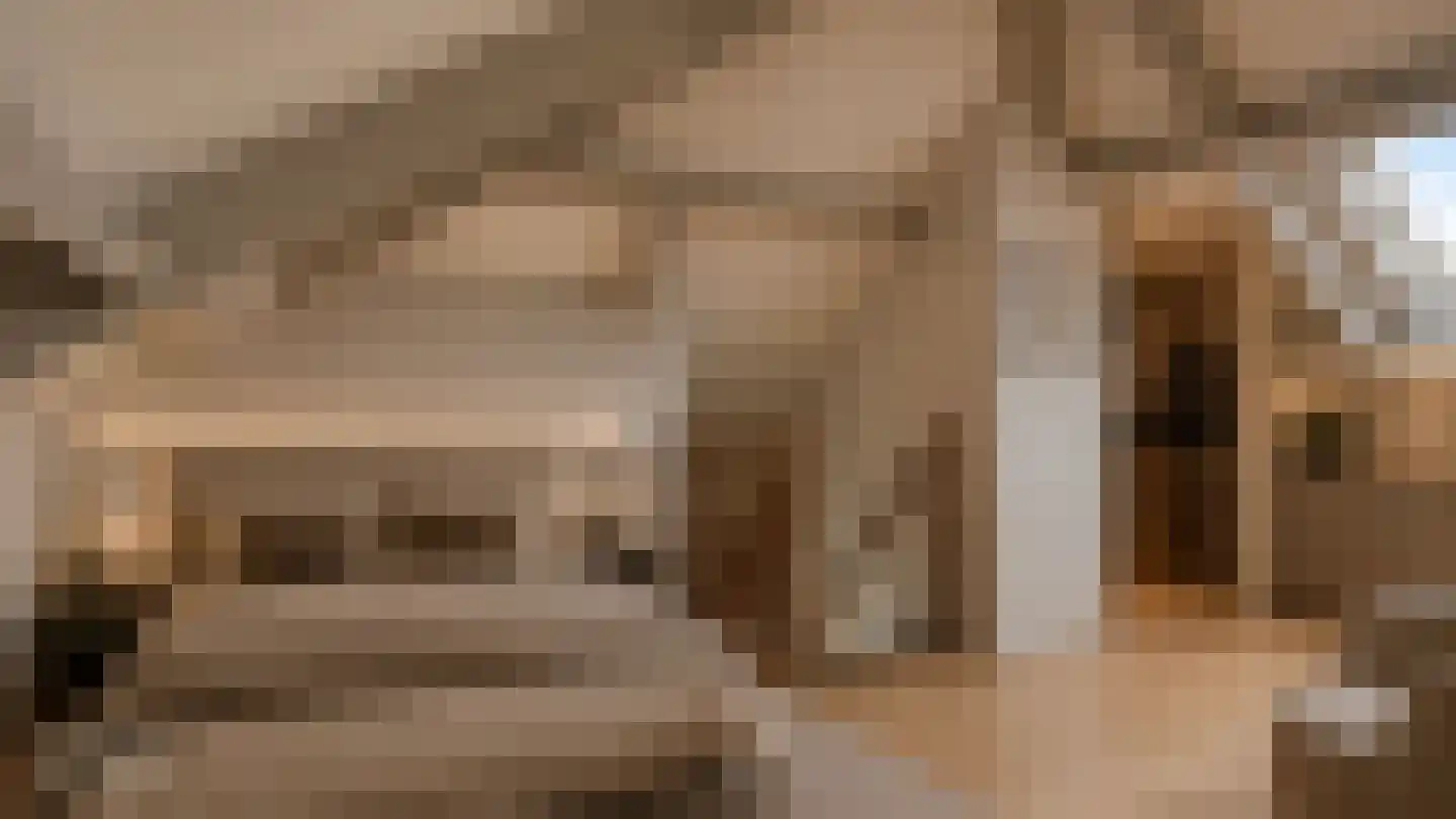 Lisdodde 22 Heerjansdam thumbnail 40