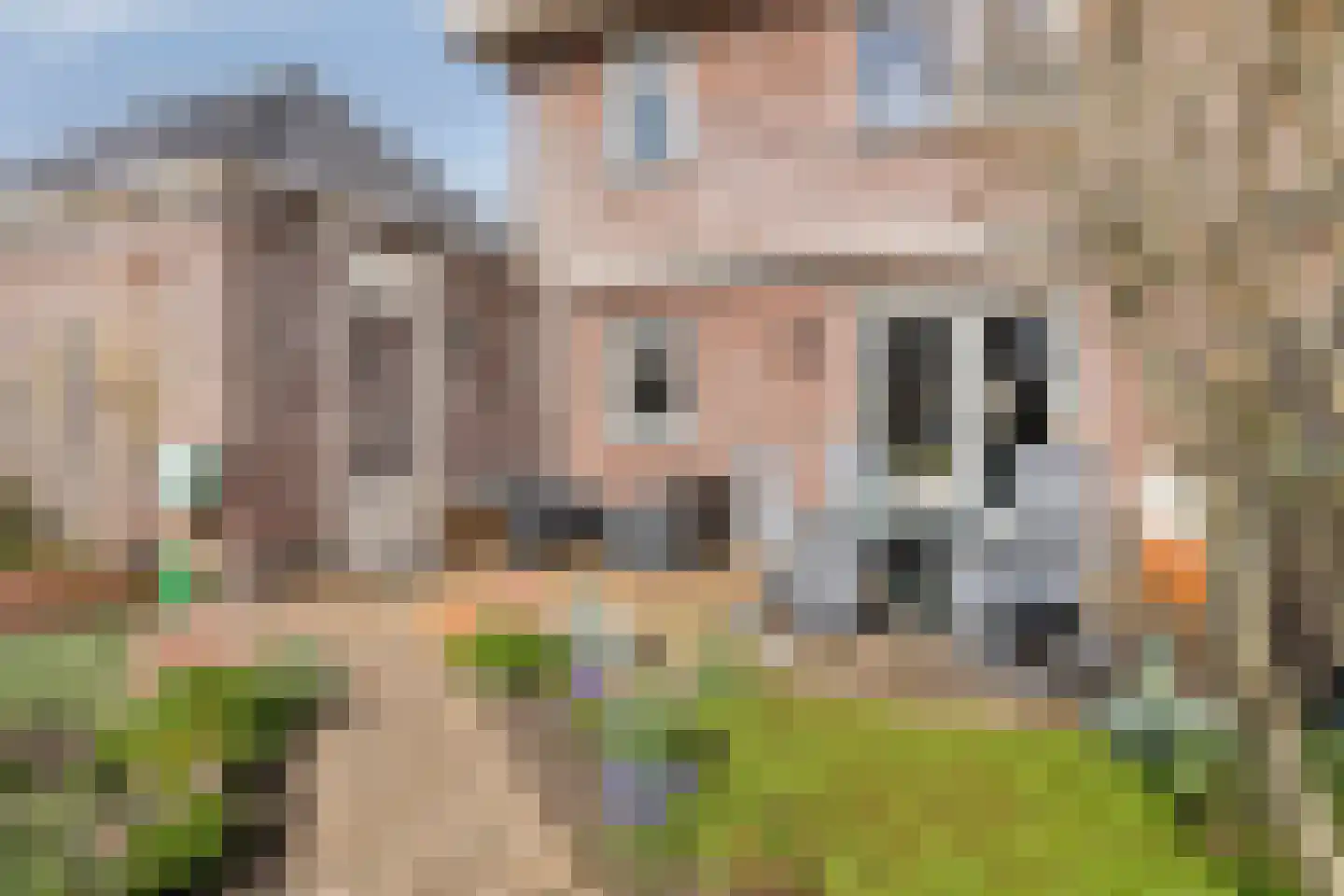 Lisdodde 22 Heerjansdam thumbnail 40