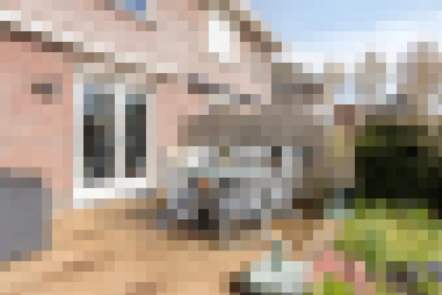 Lisdodde 22 Heerjansdam thumbnail 40