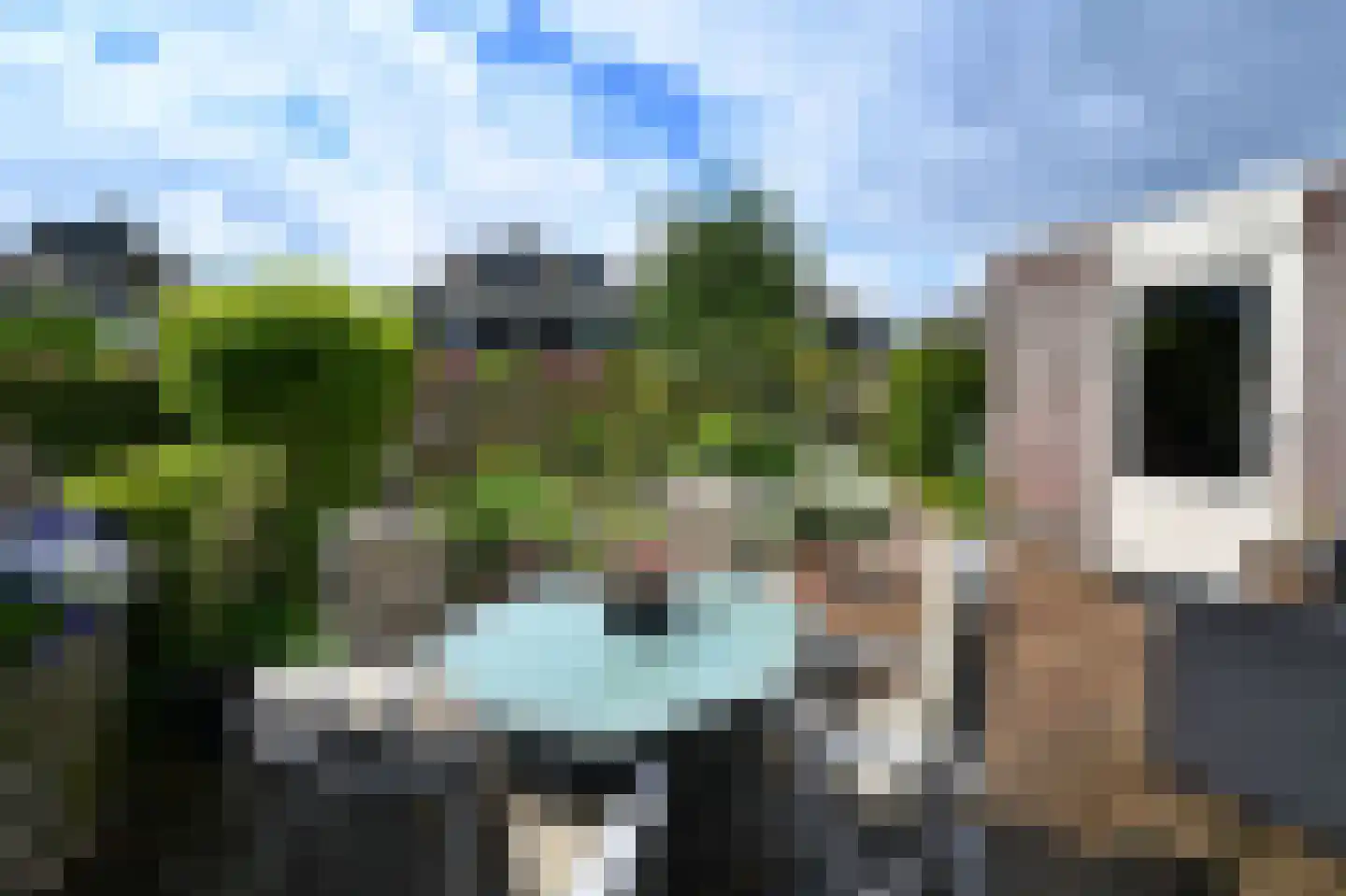 Lisdodde 22 Heerjansdam thumbnail 41