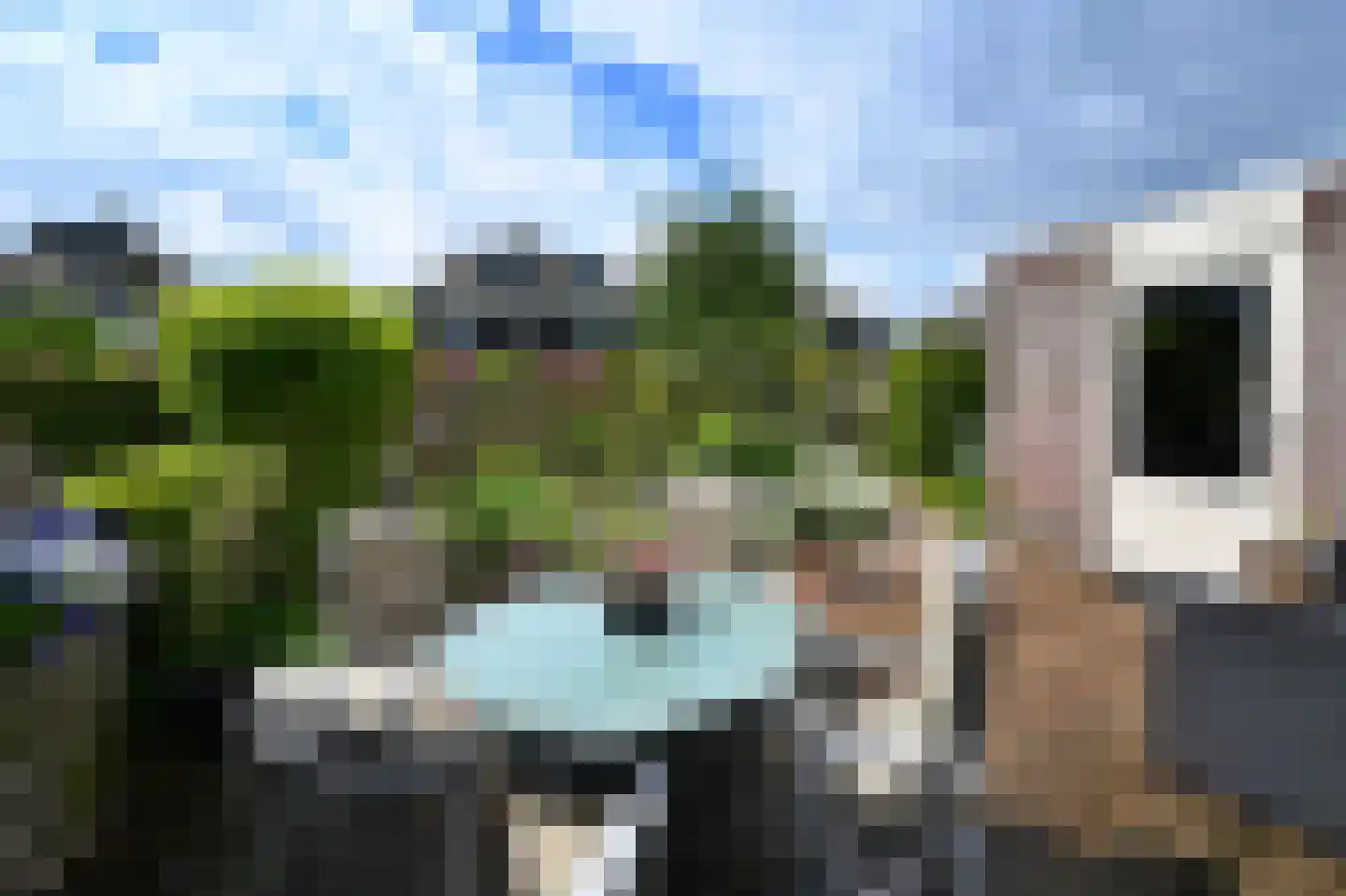 Lisdodde 22 Heerjansdam thumbnail 41