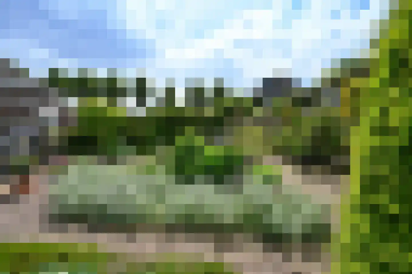 Lisdodde 22 Heerjansdam thumbnail 42