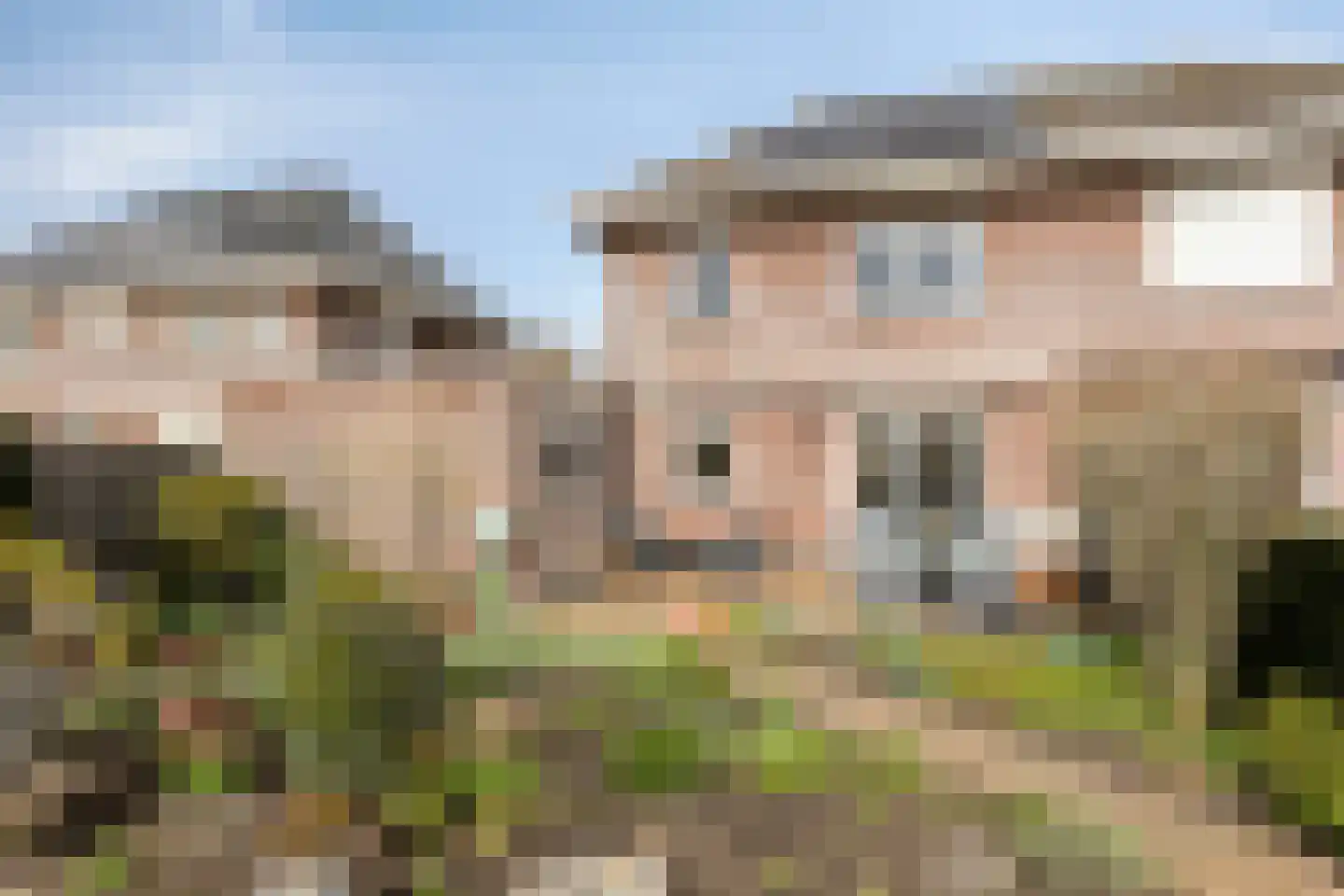 Lisdodde 22 Heerjansdam thumbnail 43