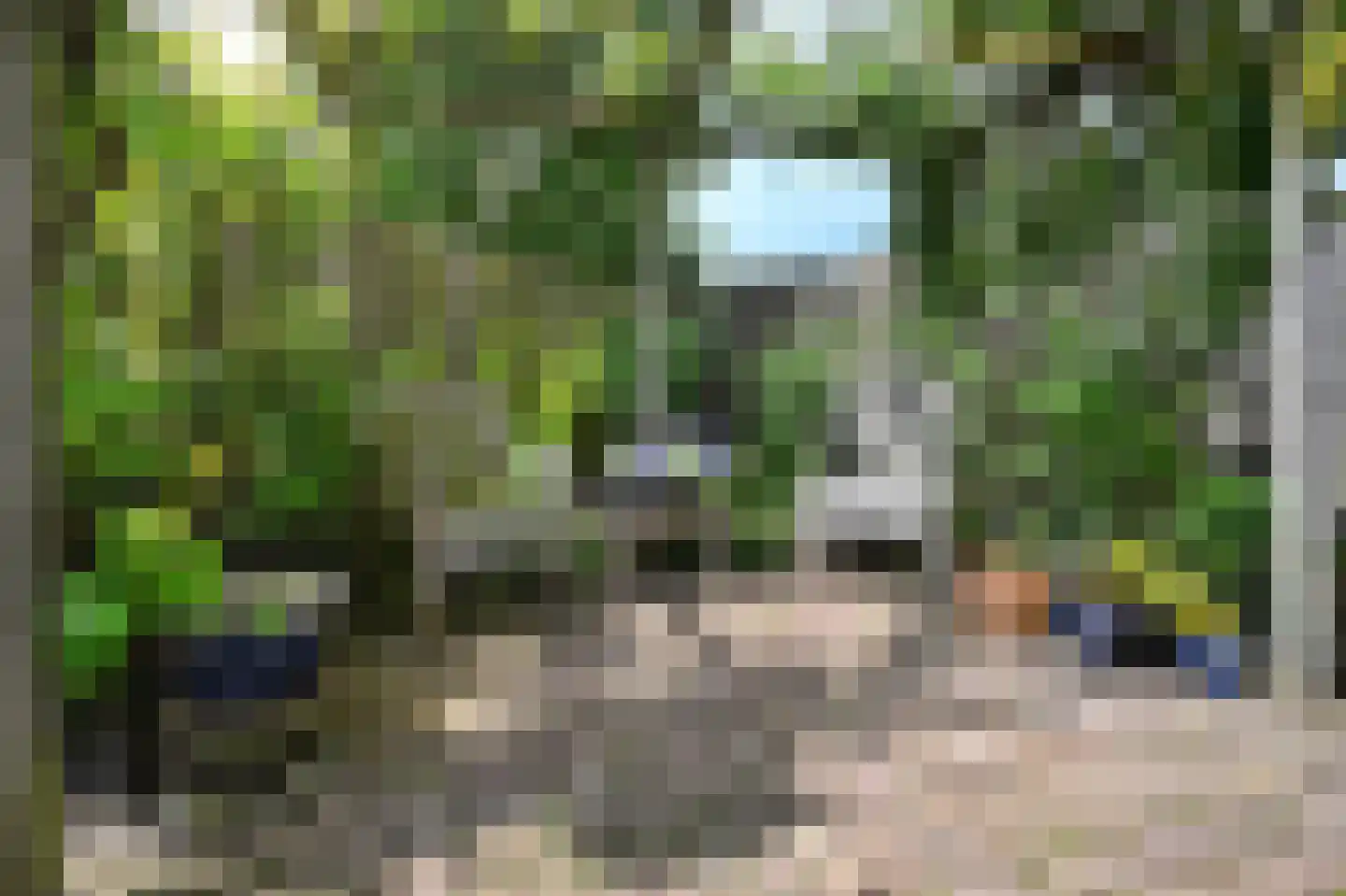 Lisdodde 22 Heerjansdam thumbnail 43