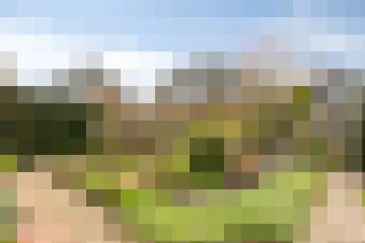 Lisdodde 22 Heerjansdam thumbnail 43
