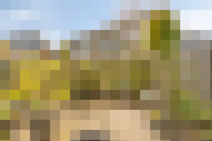 Lisdodde 22 Heerjansdam thumbnail 44
