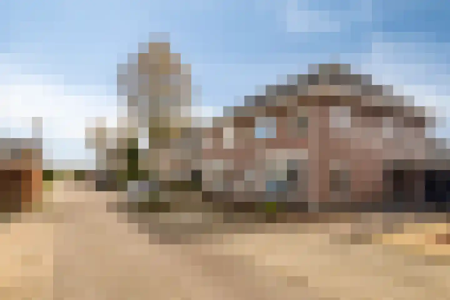 Lisdodde 22 Heerjansdam thumbnail 44