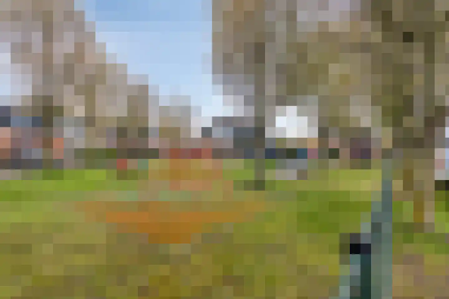 Lisdodde 22 Heerjansdam thumbnail 44