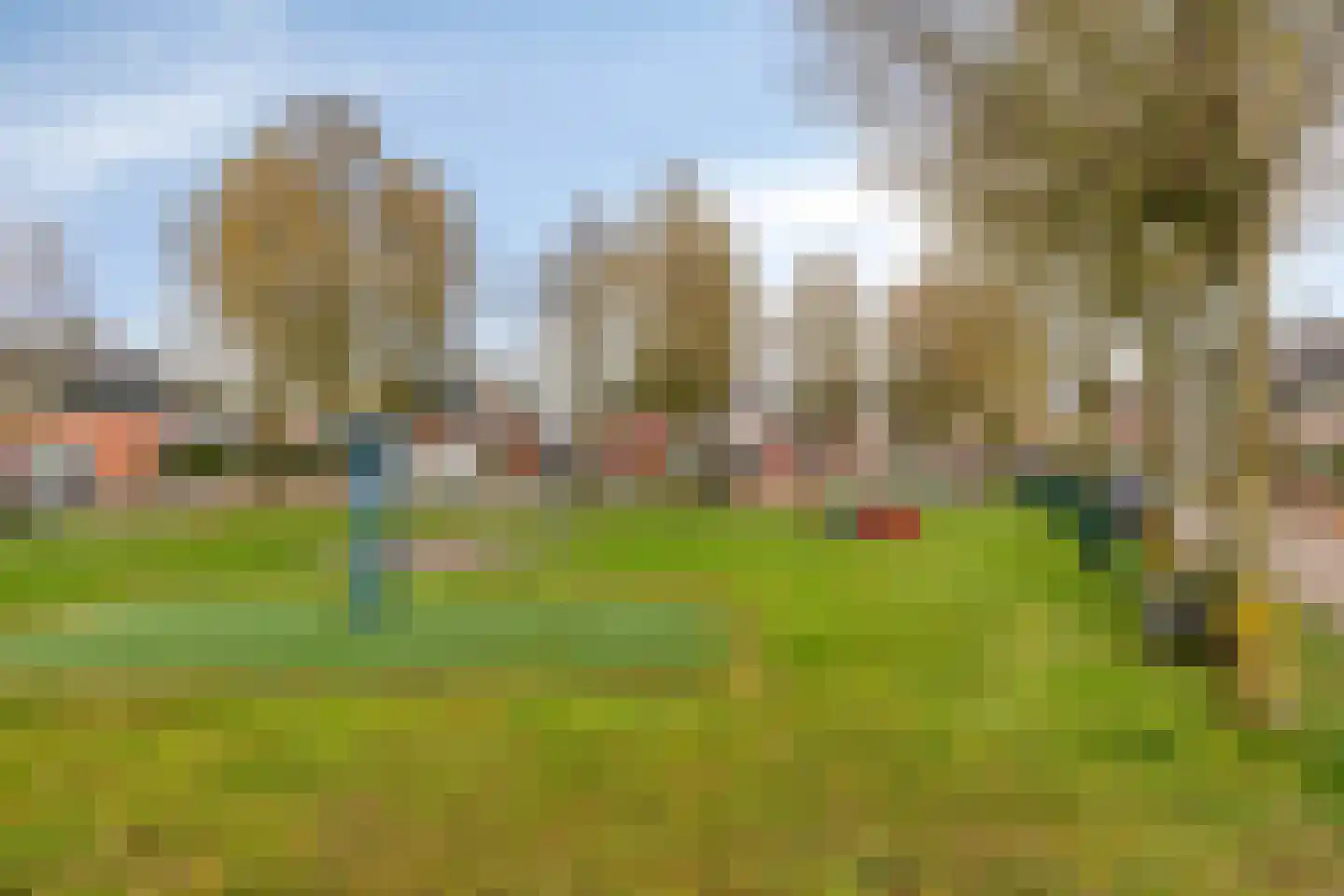 Lisdodde 22 Heerjansdam thumbnail 45