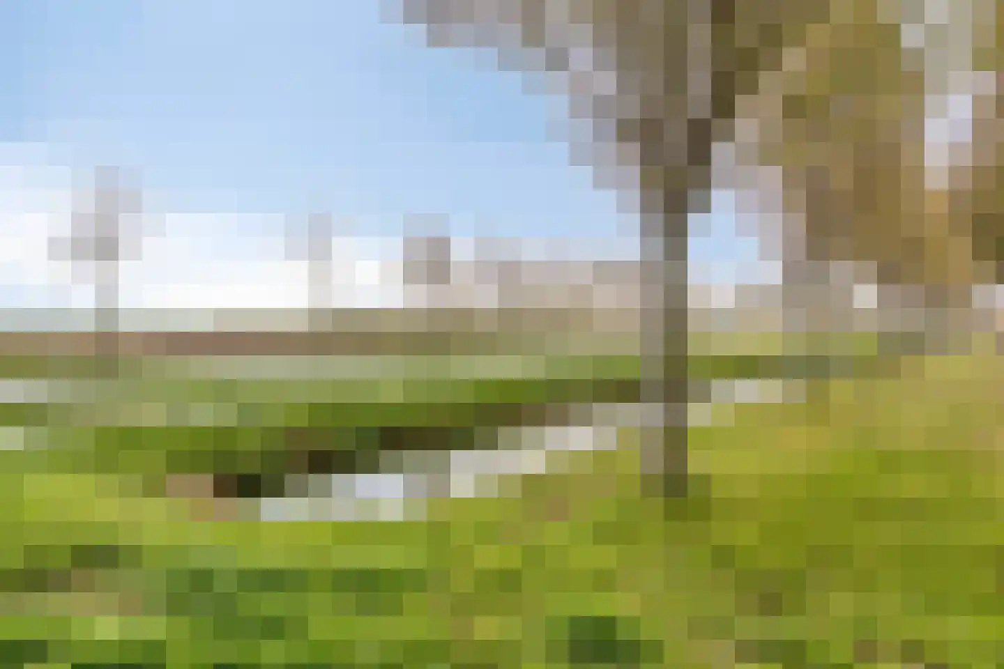 Lisdodde 22 Heerjansdam thumbnail 46