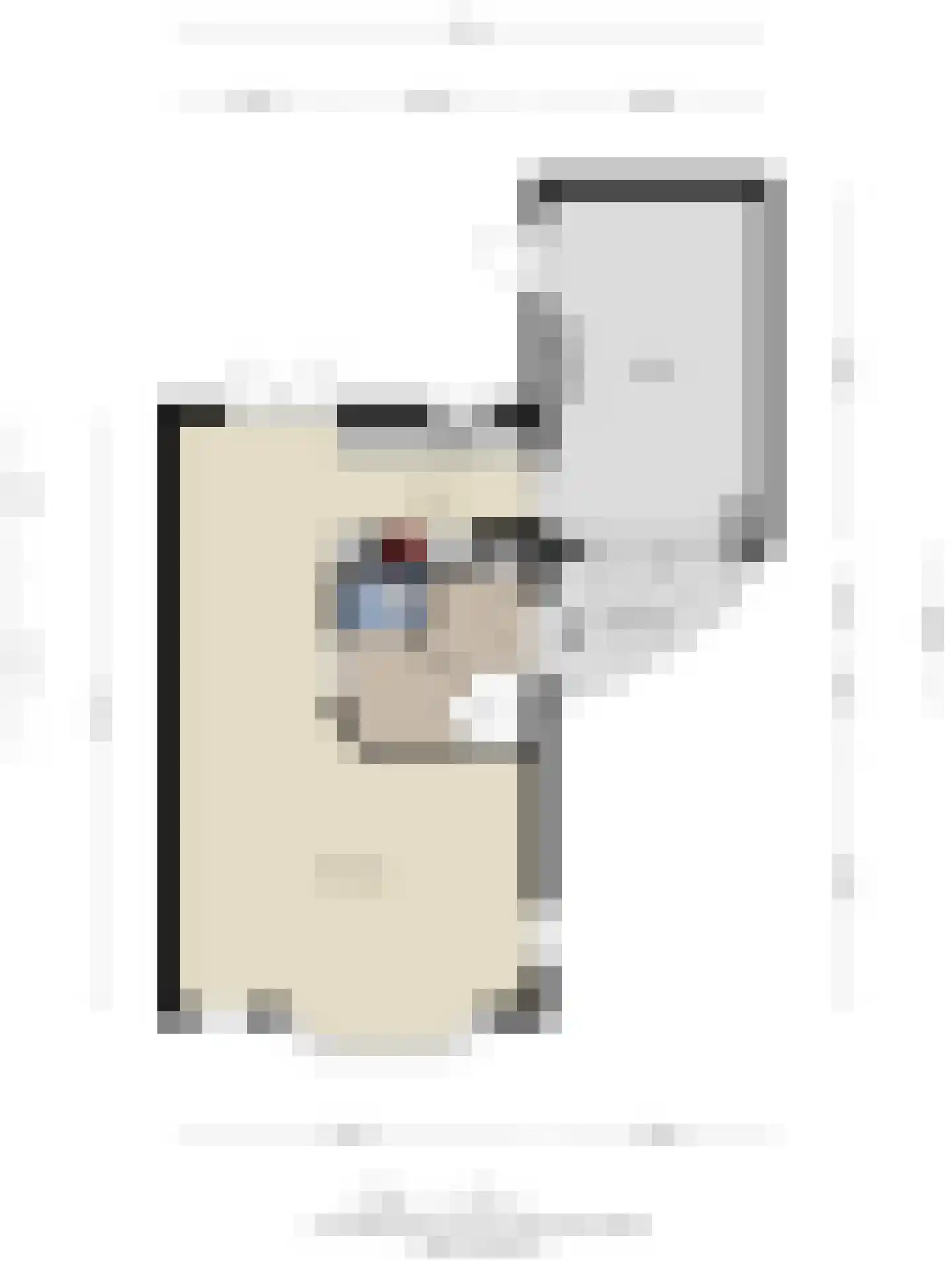 Lisdodde 22 Heerjansdam thumbnail 47