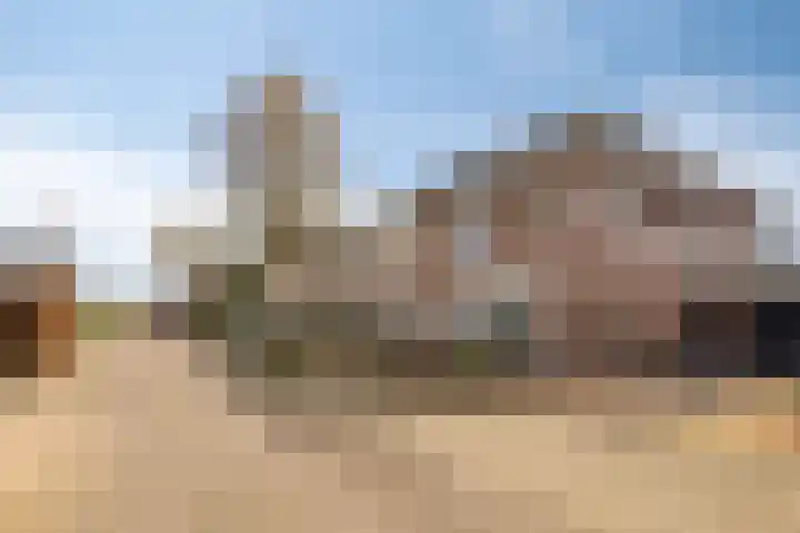 Lisdodde 22 Heerjansdam thumbnail 48