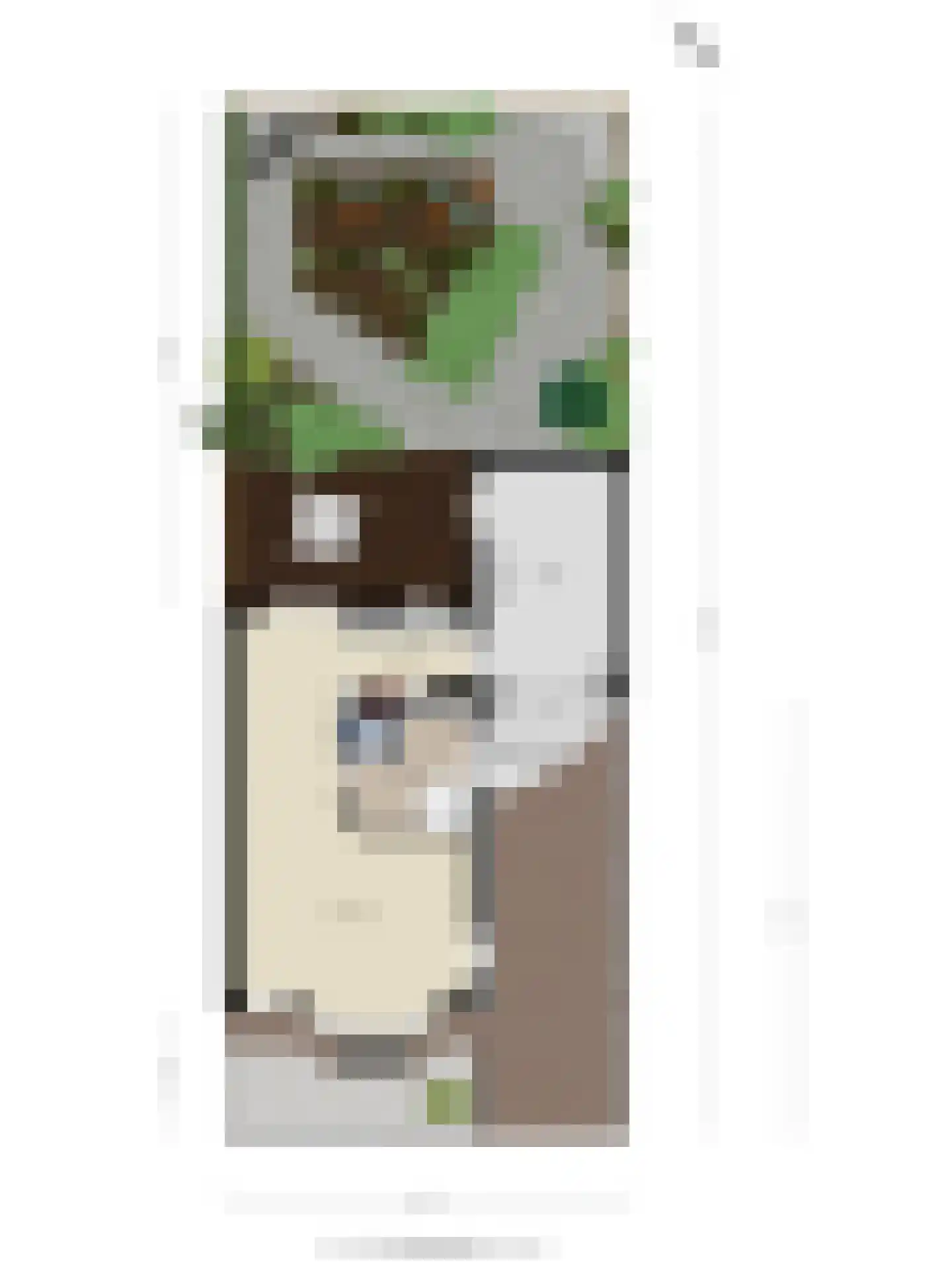 Lisdodde 22 Heerjansdam thumbnail 50