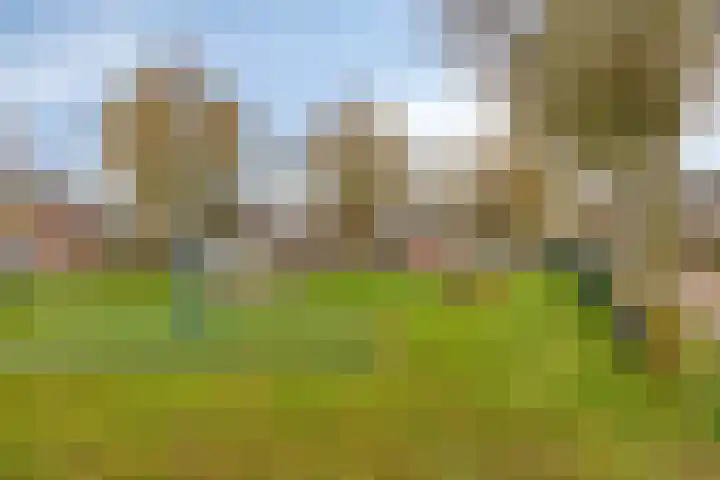 Lisdodde 22 Heerjansdam thumbnail 51