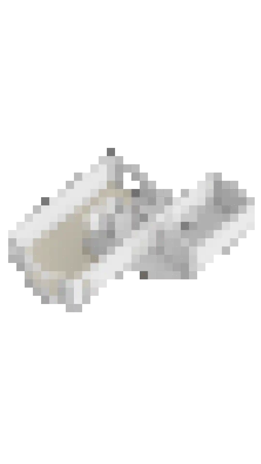 Lisdodde 22 Heerjansdam thumbnail 51