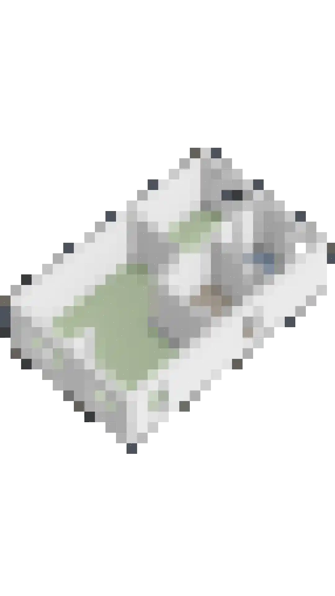 Lisdodde 22 Heerjansdam thumbnail 52