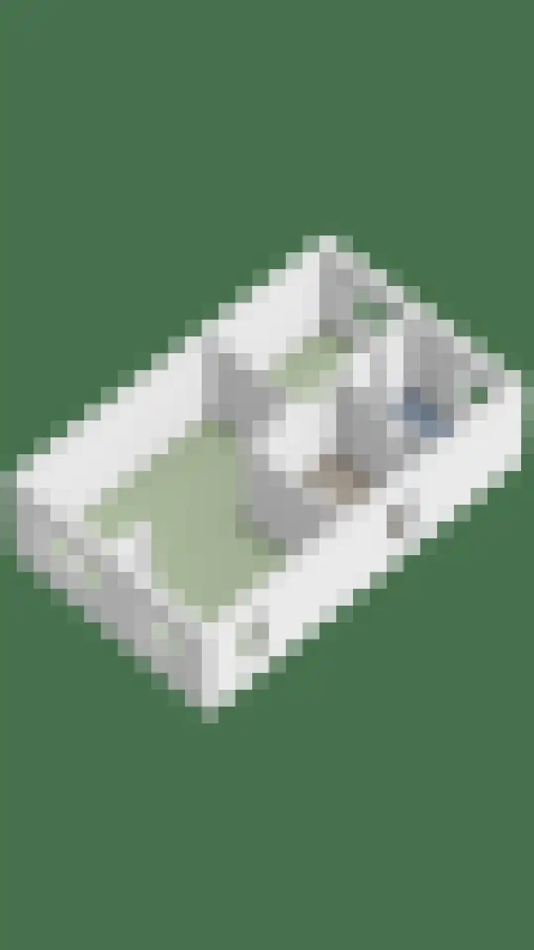 Lisdodde 22 Heerjansdam thumbnail 54