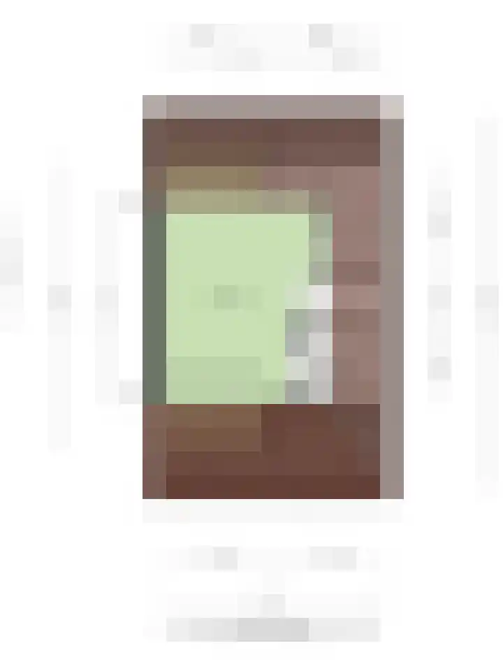 Lisdodde 22 Heerjansdam thumbnail 55