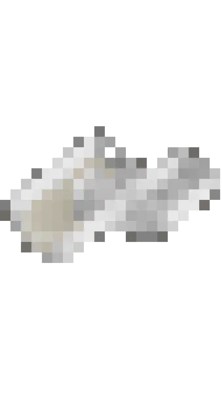 Lisdodde 22 Heerjansdam thumbnail 57