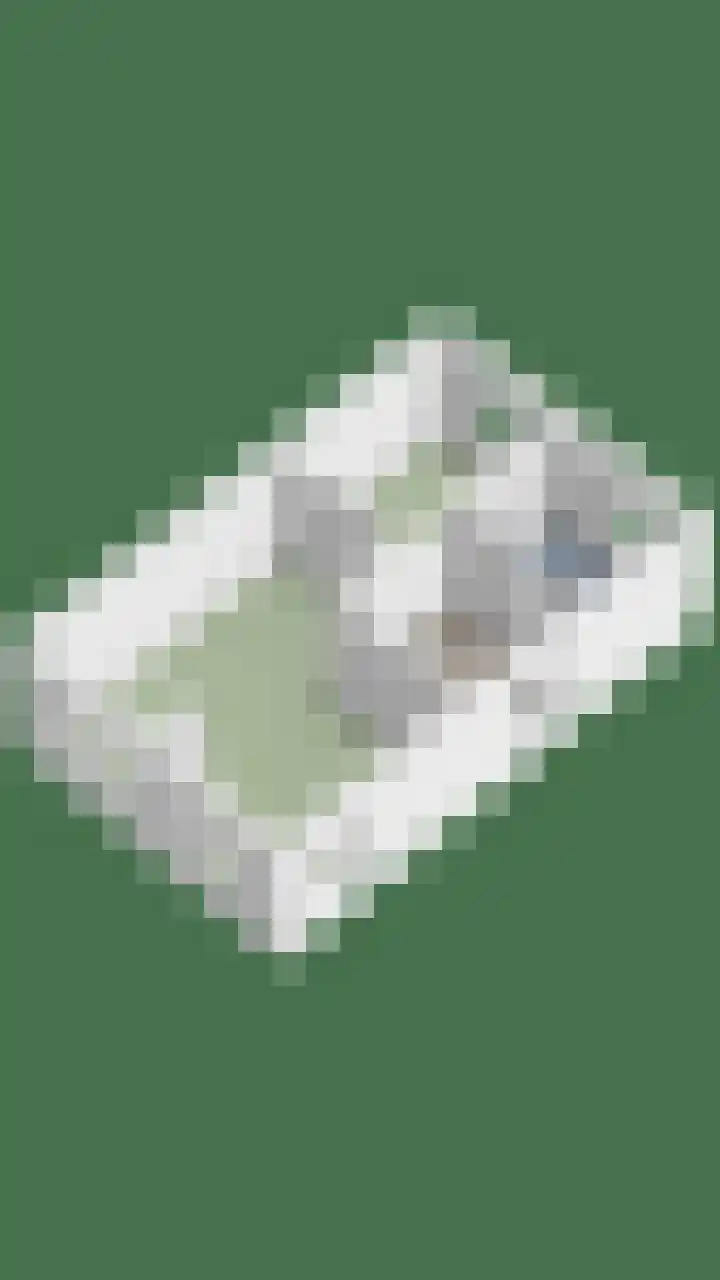 Lisdodde 22 Heerjansdam thumbnail 58