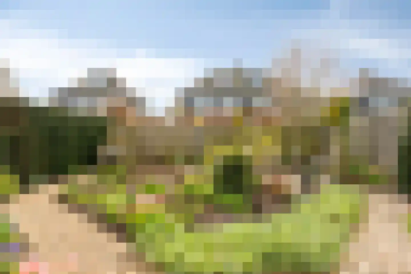 Lisdodde 22 Heerjansdam thumbnail 6