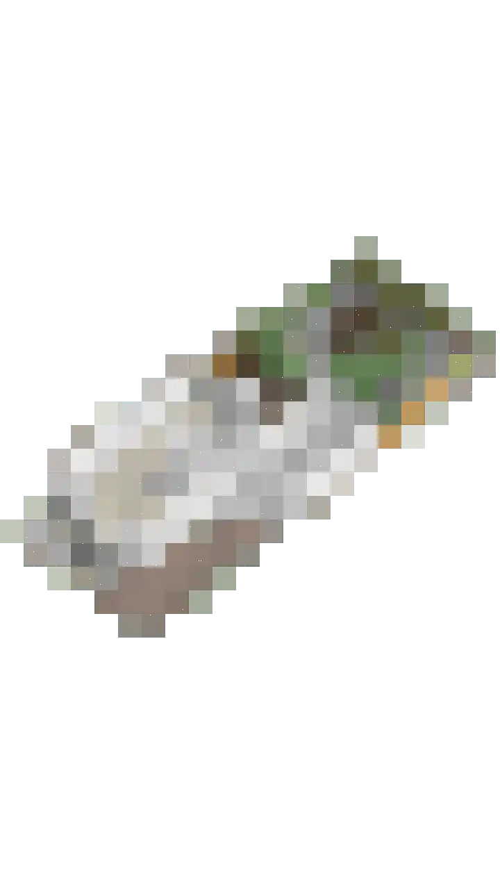 Lisdodde 22 Heerjansdam thumbnail 60