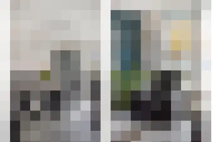 Lisdodde 22 Heerjansdam thumbnail 7