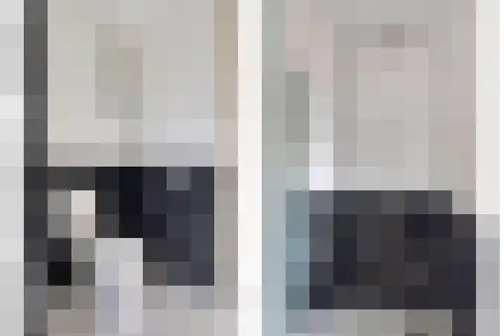 Lisdodde 22 Heerjansdam thumbnail 8