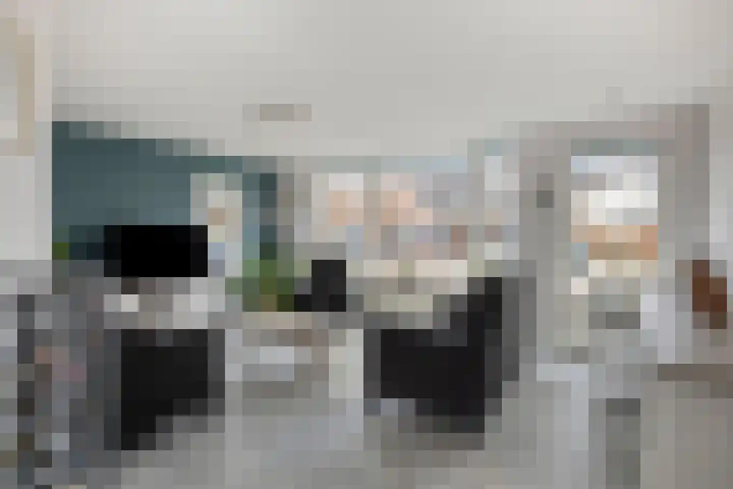 Lisdodde 22 Heerjansdam thumbnail 9