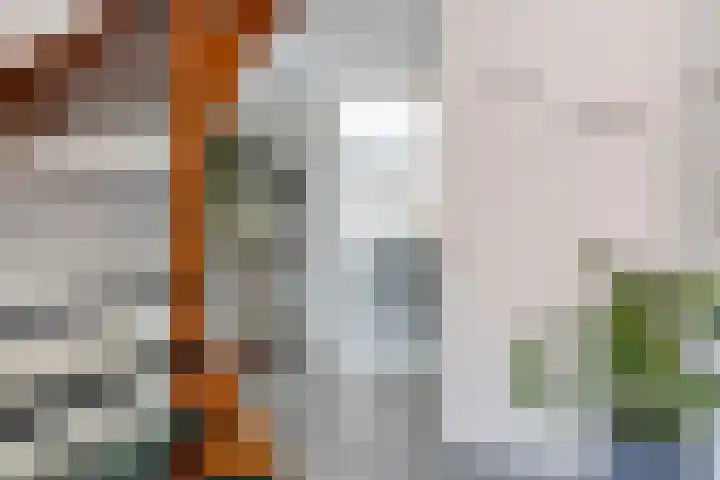 Lisdodde 22 Heerjansdam thumbnail 9