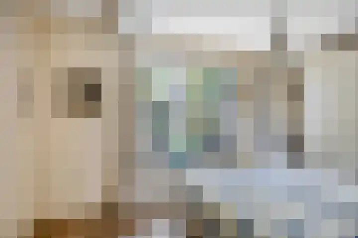 Lisdodde 22 Kampen thumbnail 10