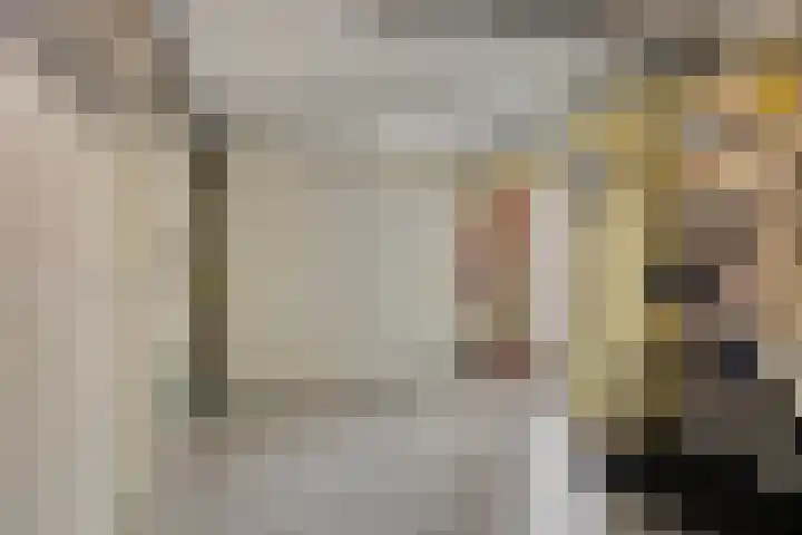 Lisdodde 22 Kampen thumbnail 13