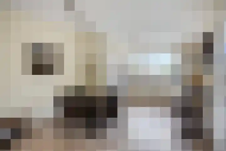 Lisdodde 22 Kampen thumbnail 21
