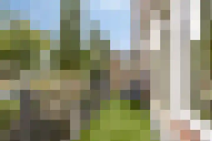 Lisdodde 22 Kampen thumbnail 25