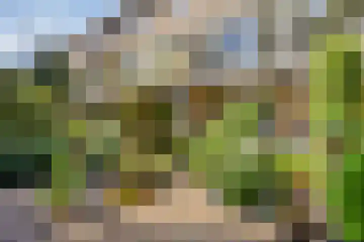 Lisdodde 22 Kampen thumbnail 28