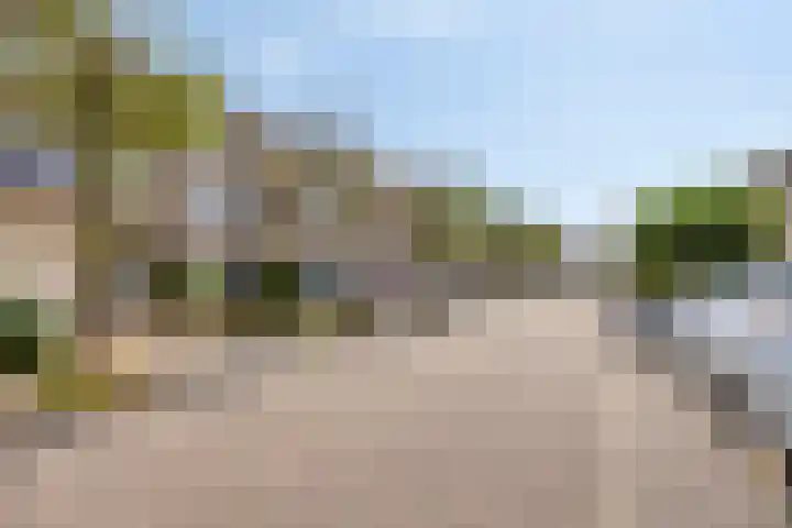 Lisdodde 22 Kampen thumbnail 4