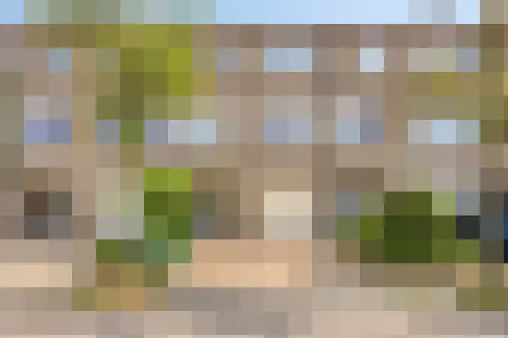 Lisdodde 22 Kampen thumbnail 46