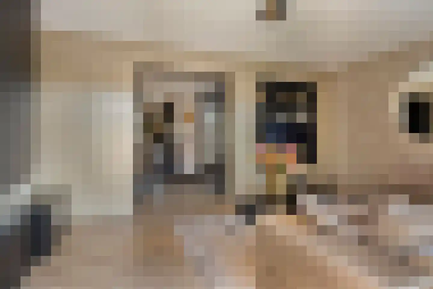 Lisdodde 22 Veenendaal thumbnail 10