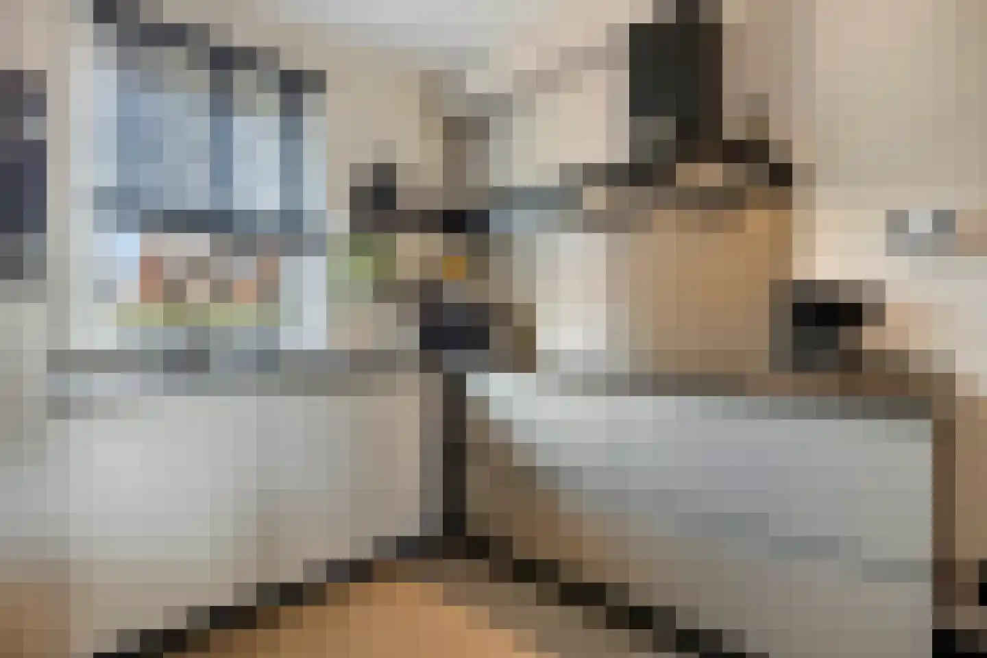 Lisdodde 22 Veenendaal thumbnail 16