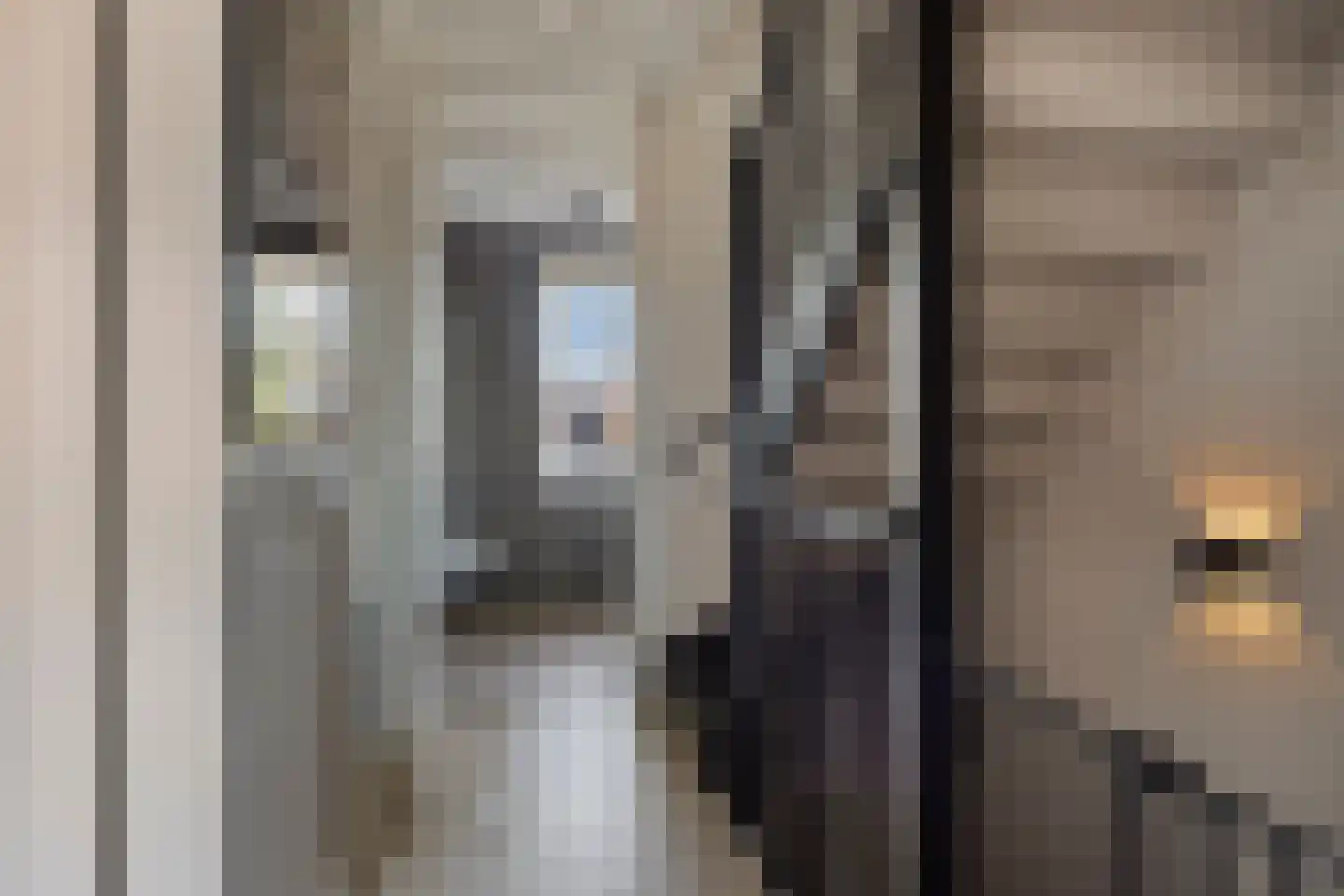 Lisdodde 22 Veenendaal thumbnail 17