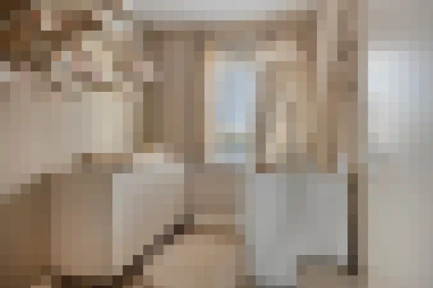 Lisdodde 22 Veenendaal thumbnail 23