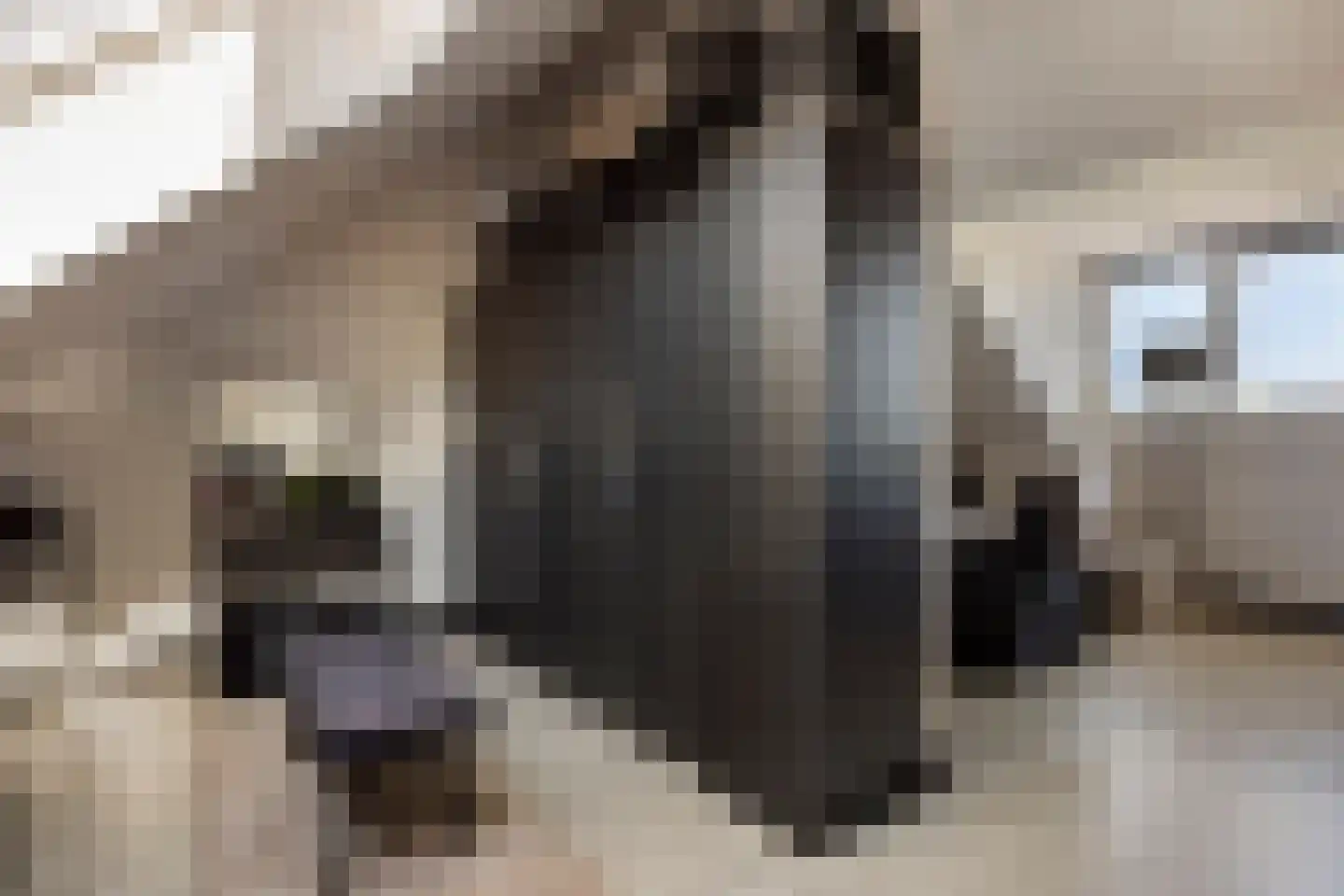 Lisdodde 22 Veenendaal thumbnail 28