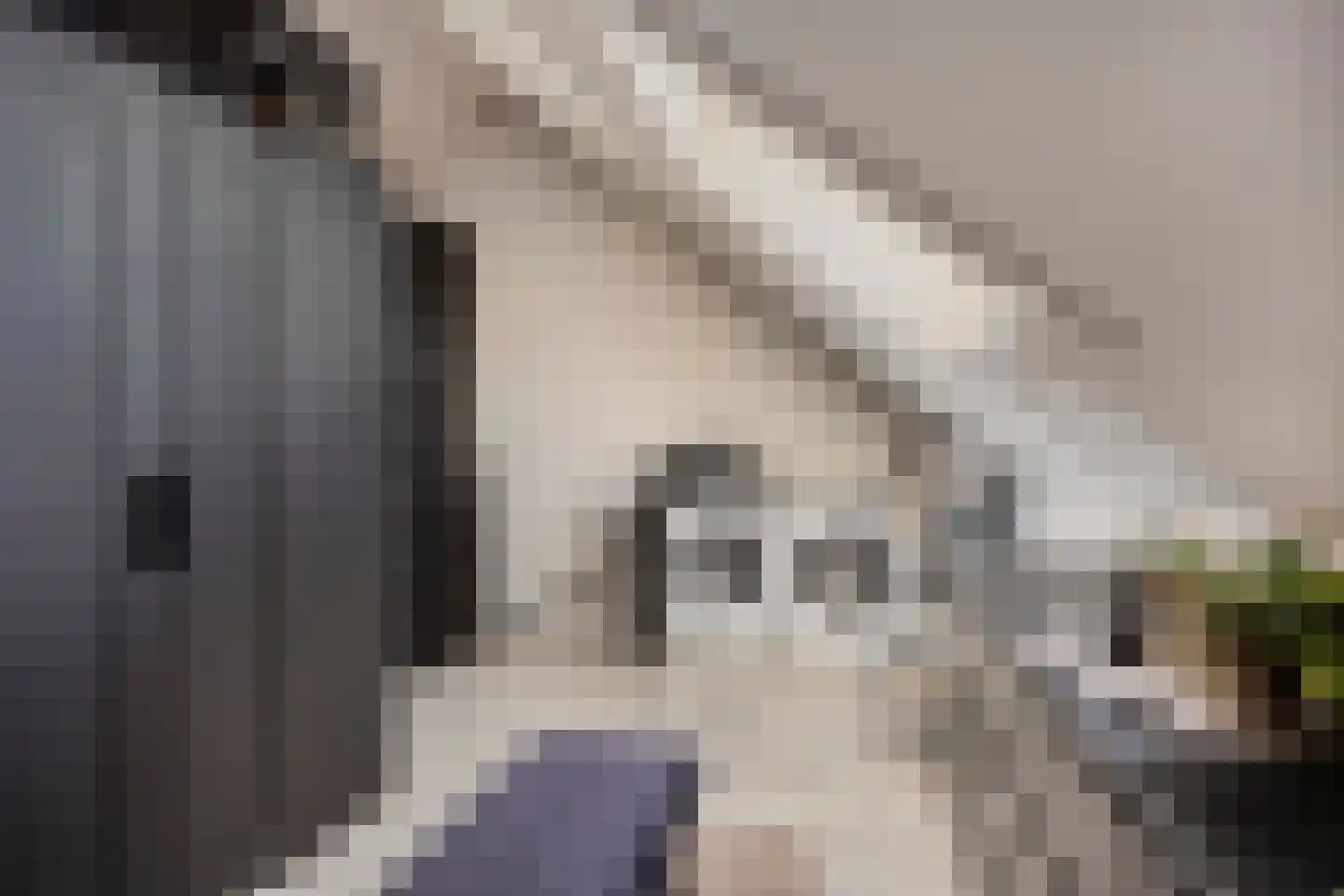 Lisdodde 22 Veenendaal thumbnail 29