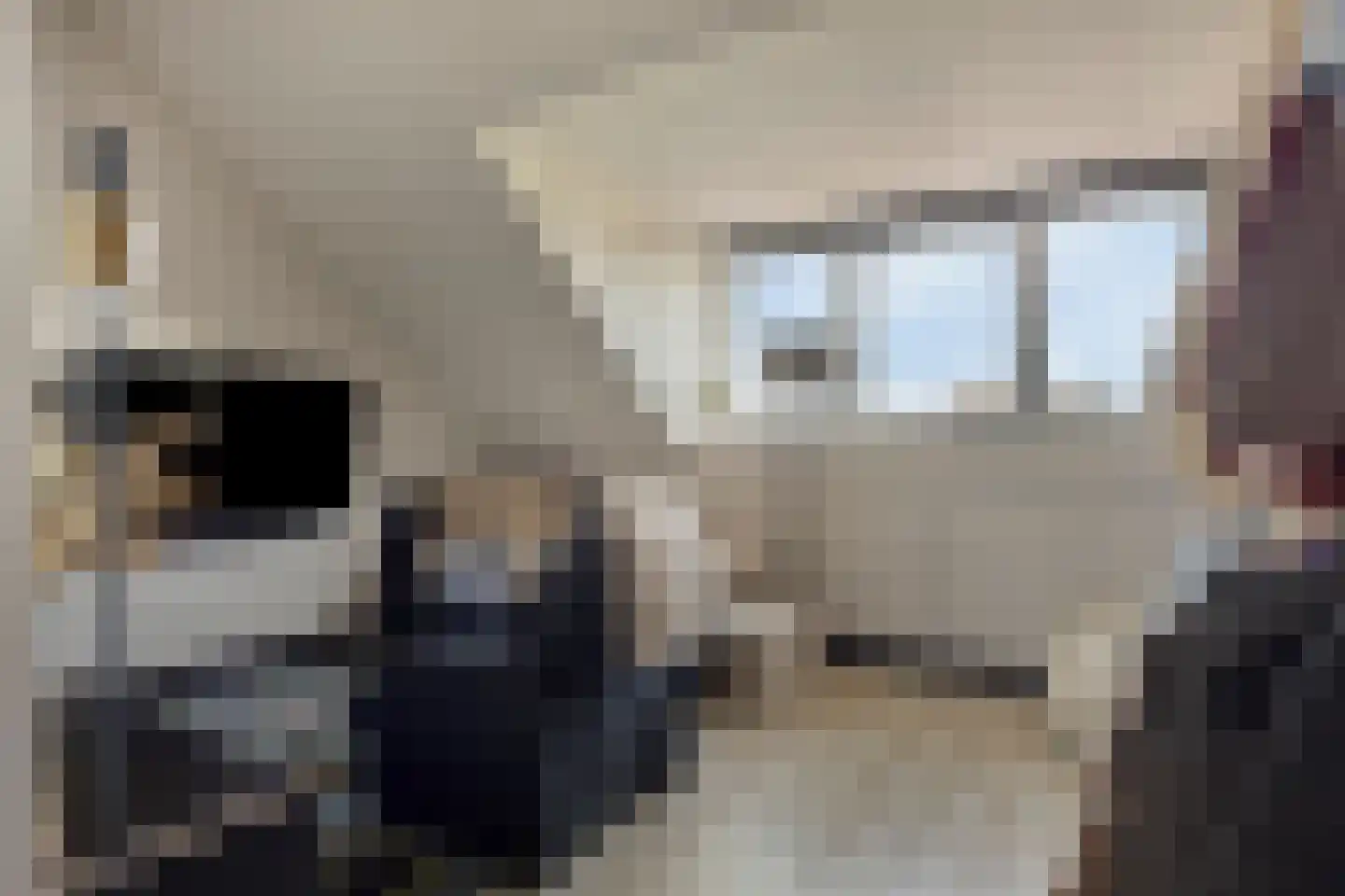 Lisdodde 22 Veenendaal thumbnail 30