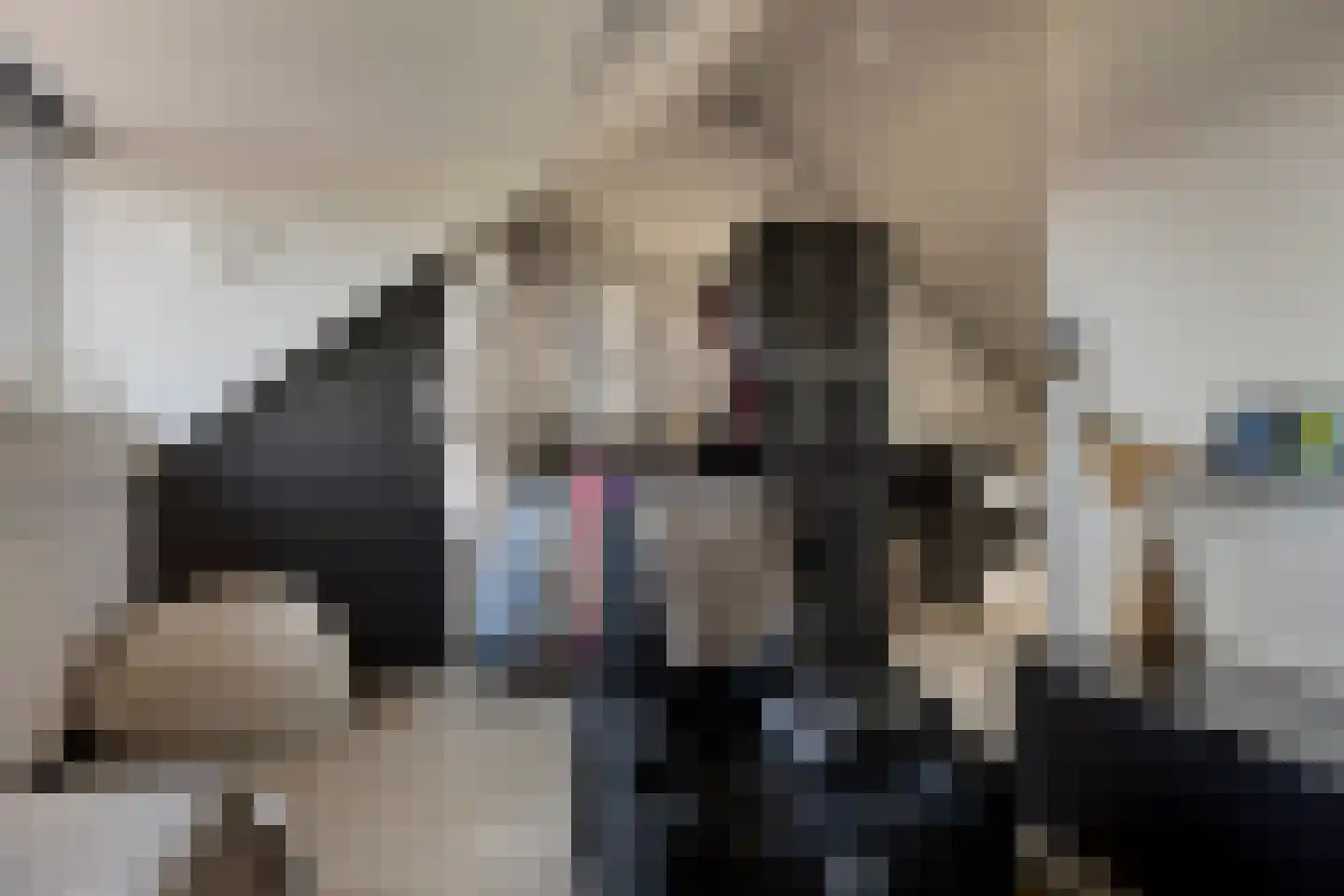 Lisdodde 22 Veenendaal thumbnail 31