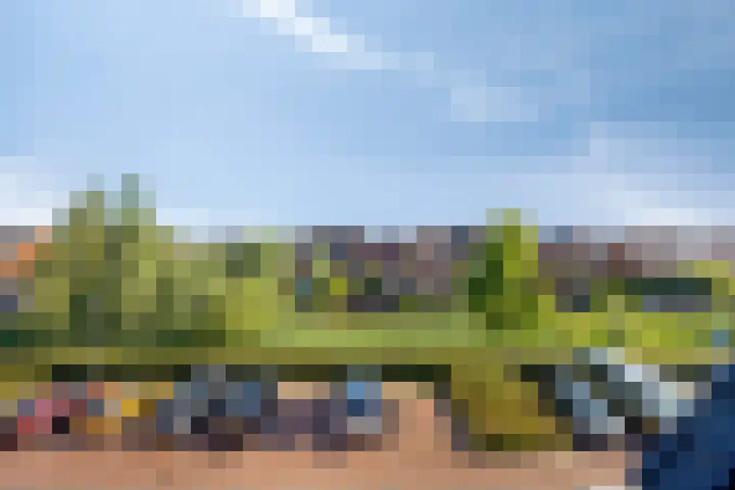 Lisdodde 22 Veenendaal thumbnail 32