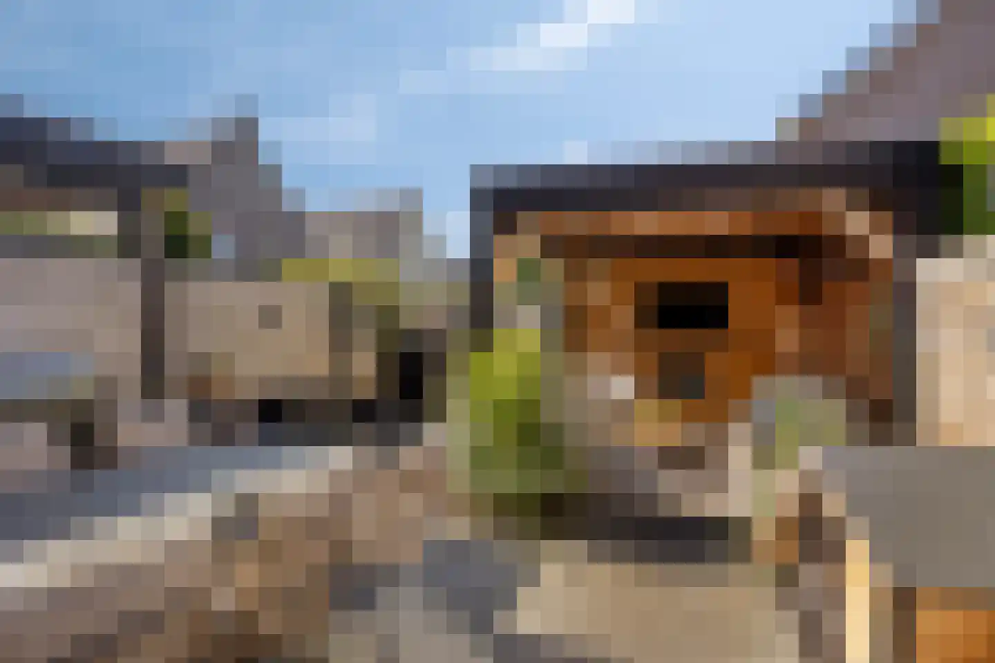 Lisdodde 22 Veenendaal thumbnail 34