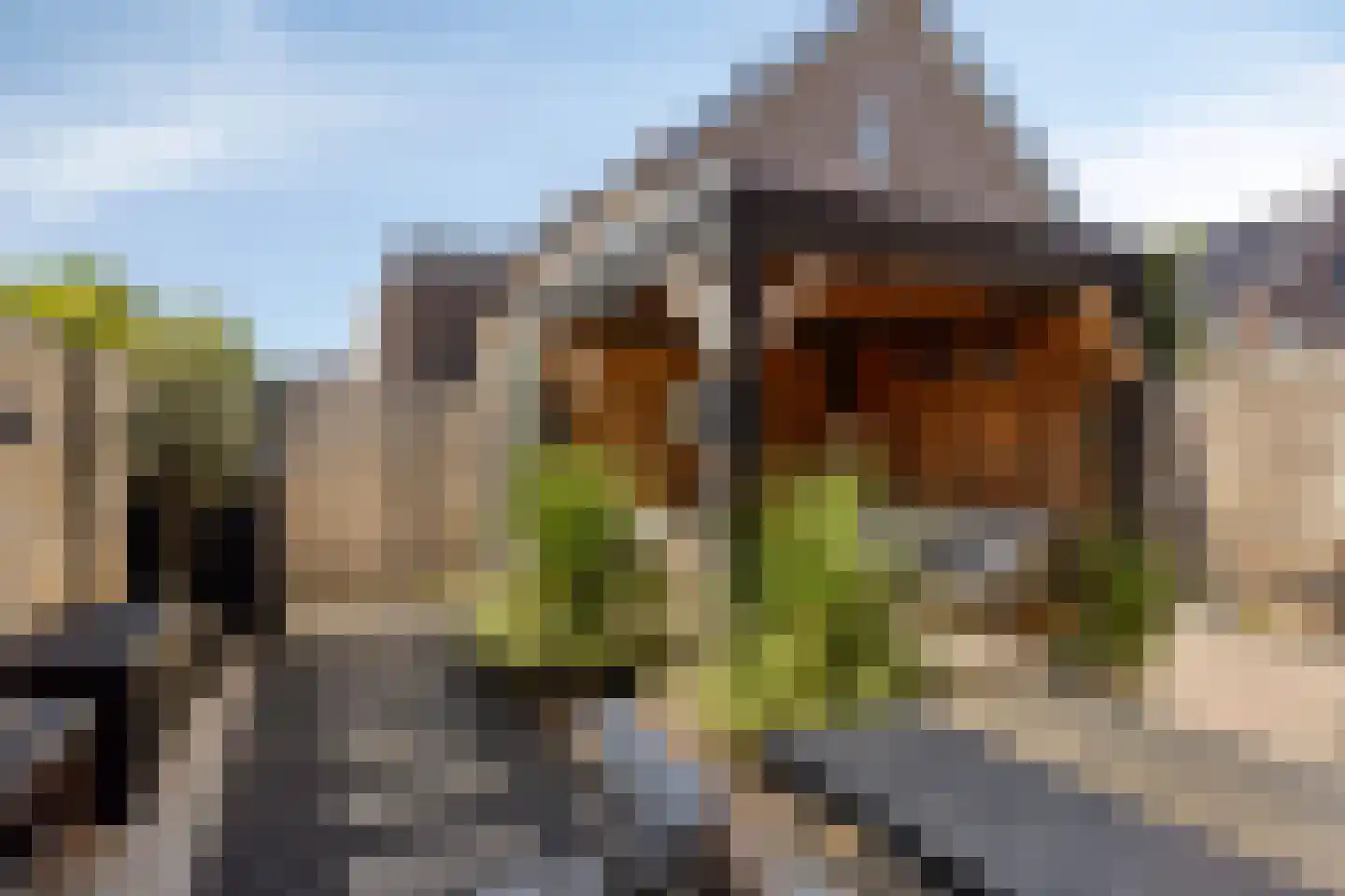 Lisdodde 22 Veenendaal thumbnail 35